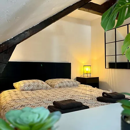 Appartement Dalikyda - La Perle De *